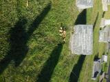 image of grave number 760286